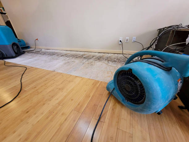 Professional Sewage Cleanup technician working in Northridge, OH